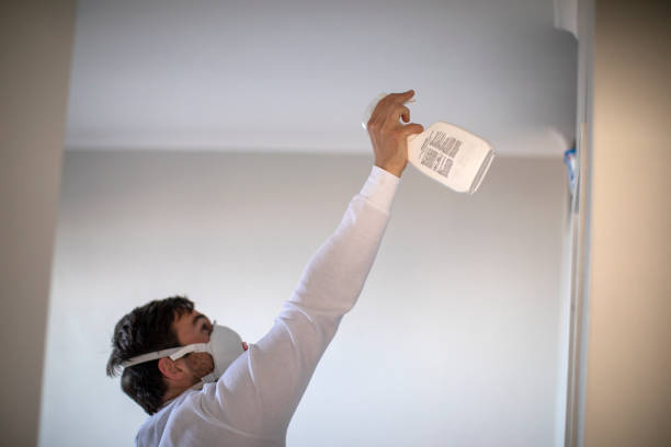 Best Same-Day Mold Removal  in Jackson, KY