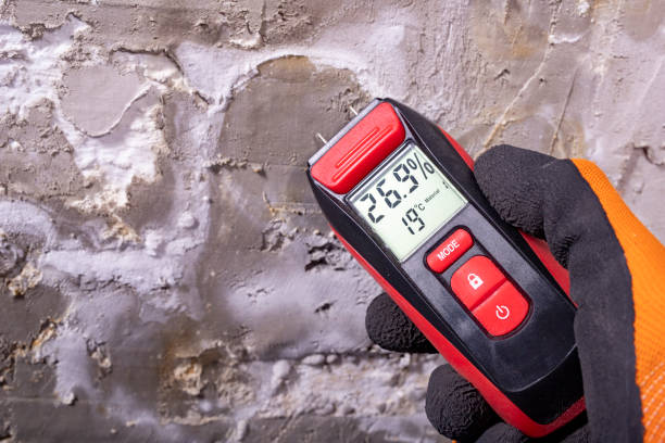 Best Mold Remediation  in Jackson, KY