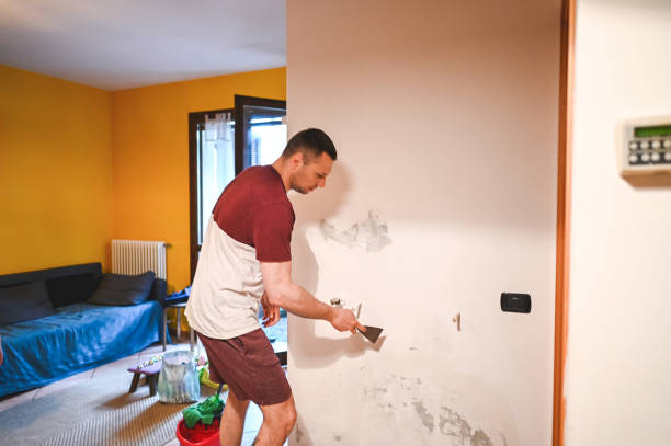 Mold Removal Process in Jackson, KY